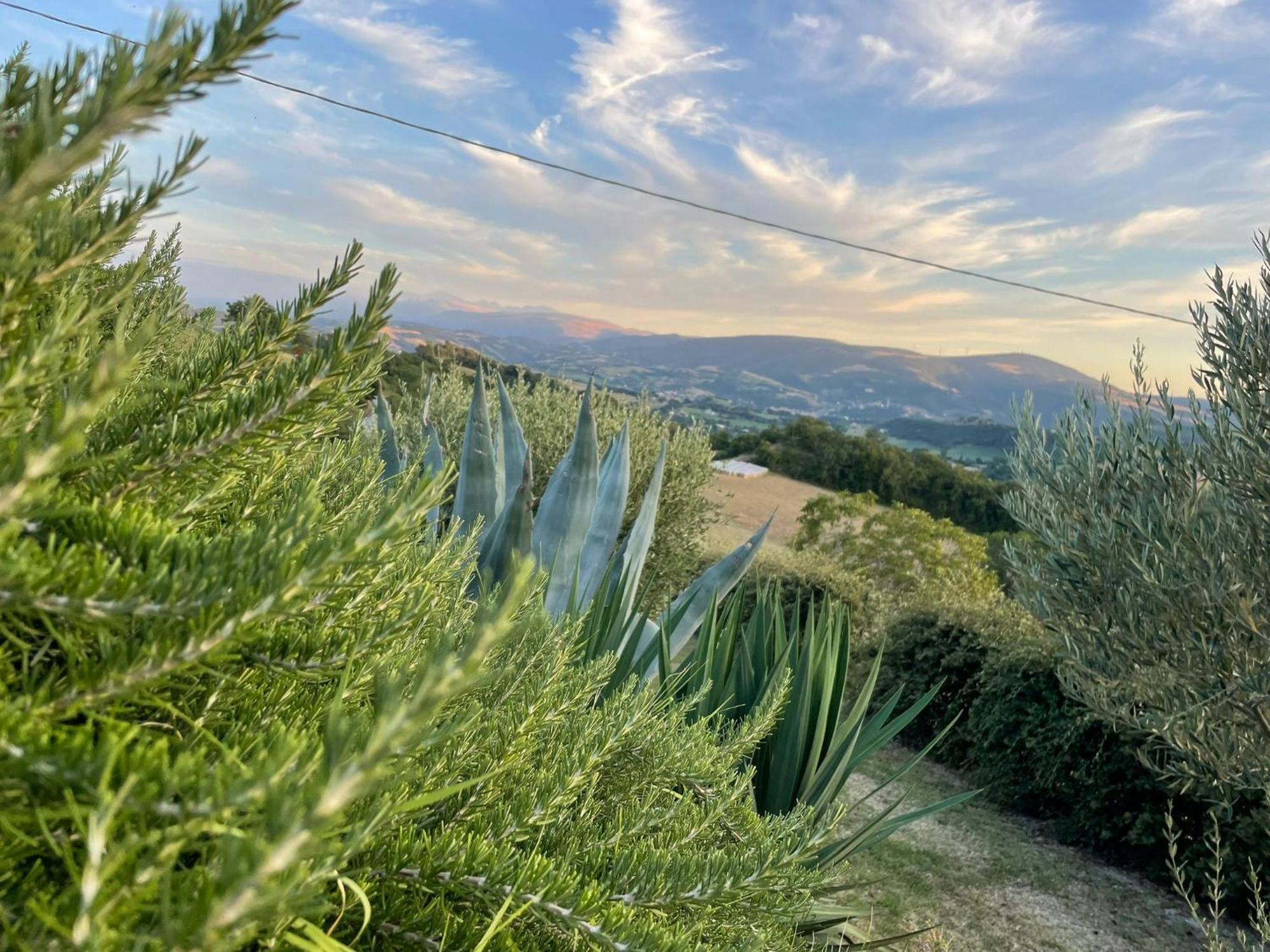 Agriturismo Villa Rosetta San Severino Marche Eksteriør billede