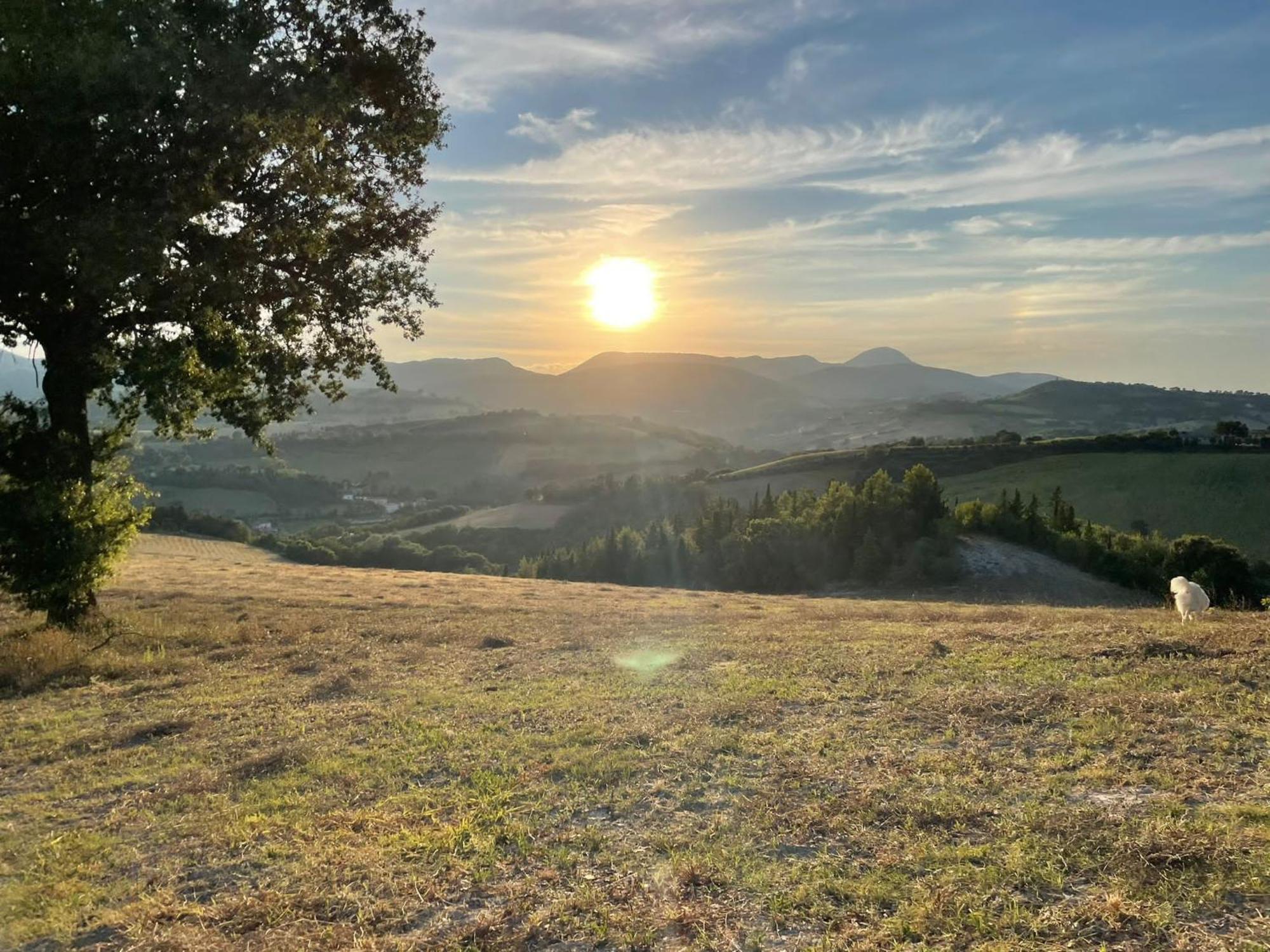 Agriturismo Villa Rosetta San Severino Marche Eksteriør billede