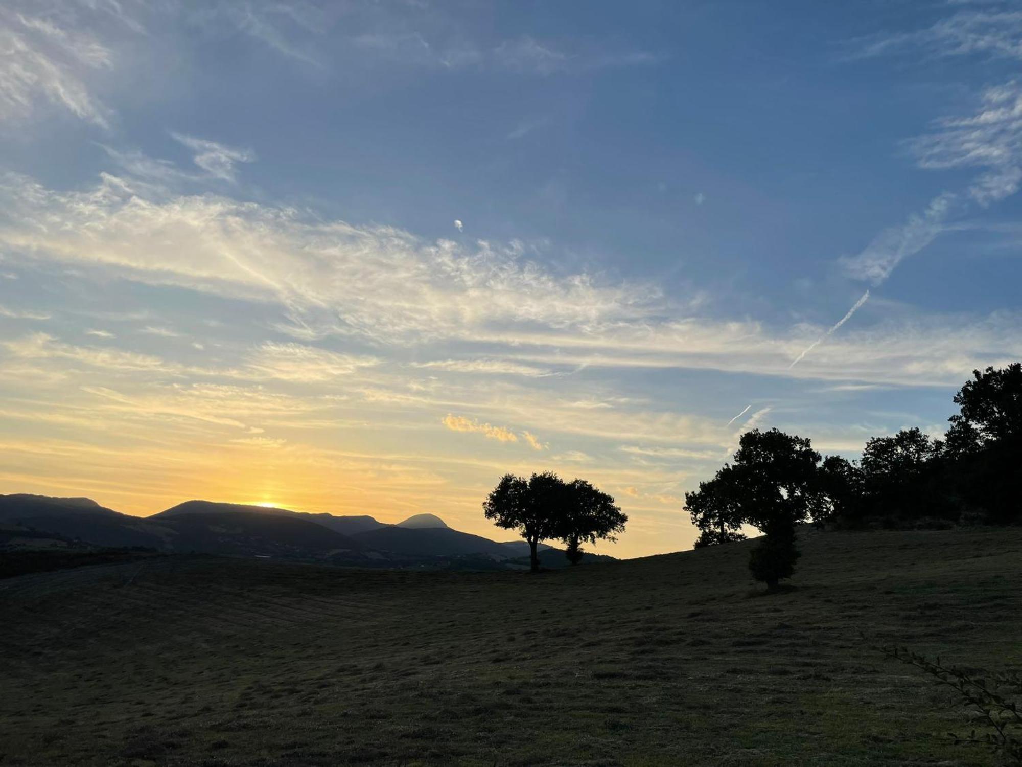 Agriturismo Villa Rosetta San Severino Marche Eksteriør billede