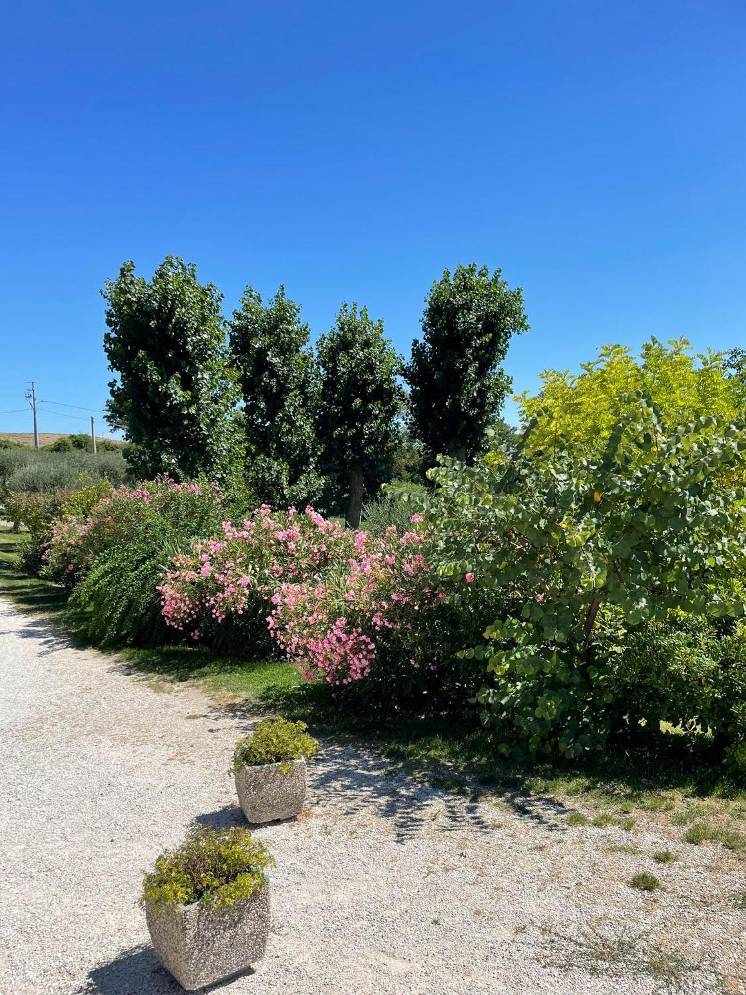 Agriturismo Villa Rosetta San Severino Marche Eksteriør billede