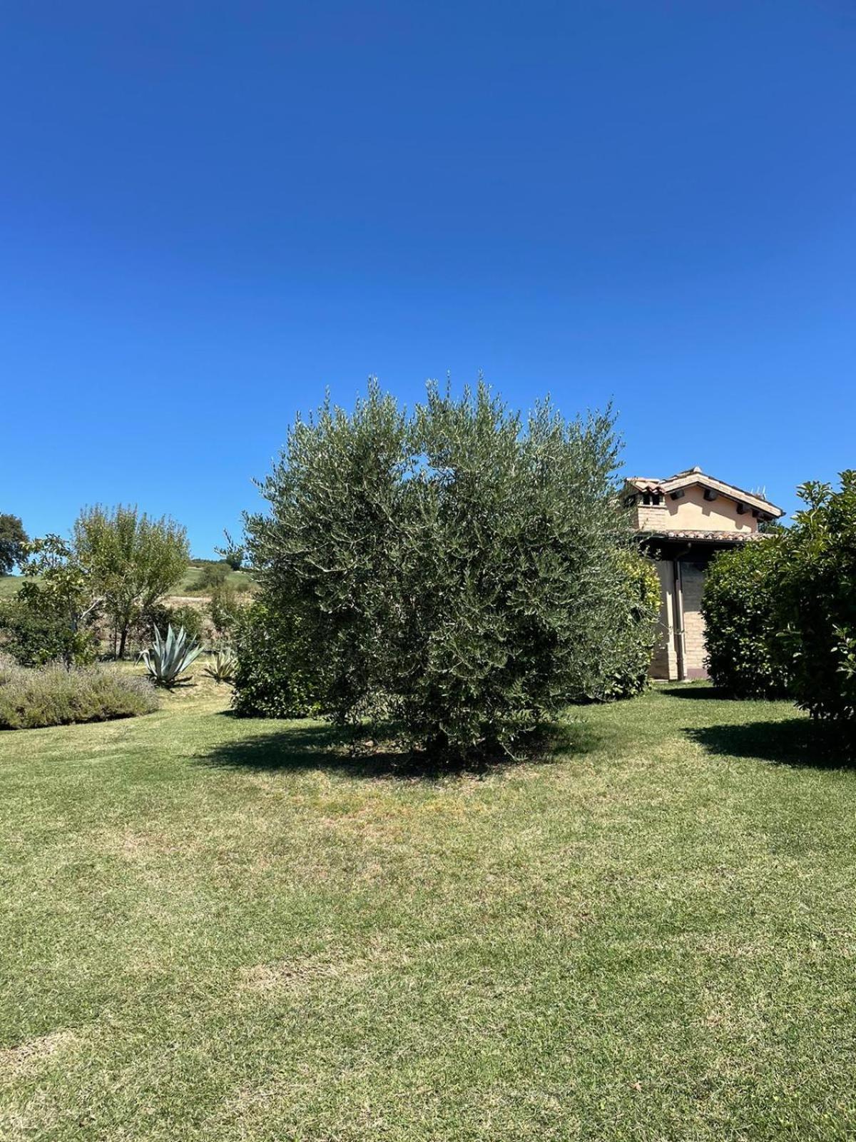 Agriturismo Villa Rosetta San Severino Marche Eksteriør billede