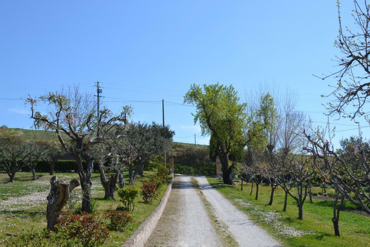 Agriturismo Villa Rosetta San Severino Marche Eksteriør billede