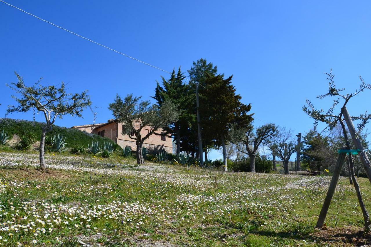 Agriturismo Villa Rosetta San Severino Marche Eksteriør billede