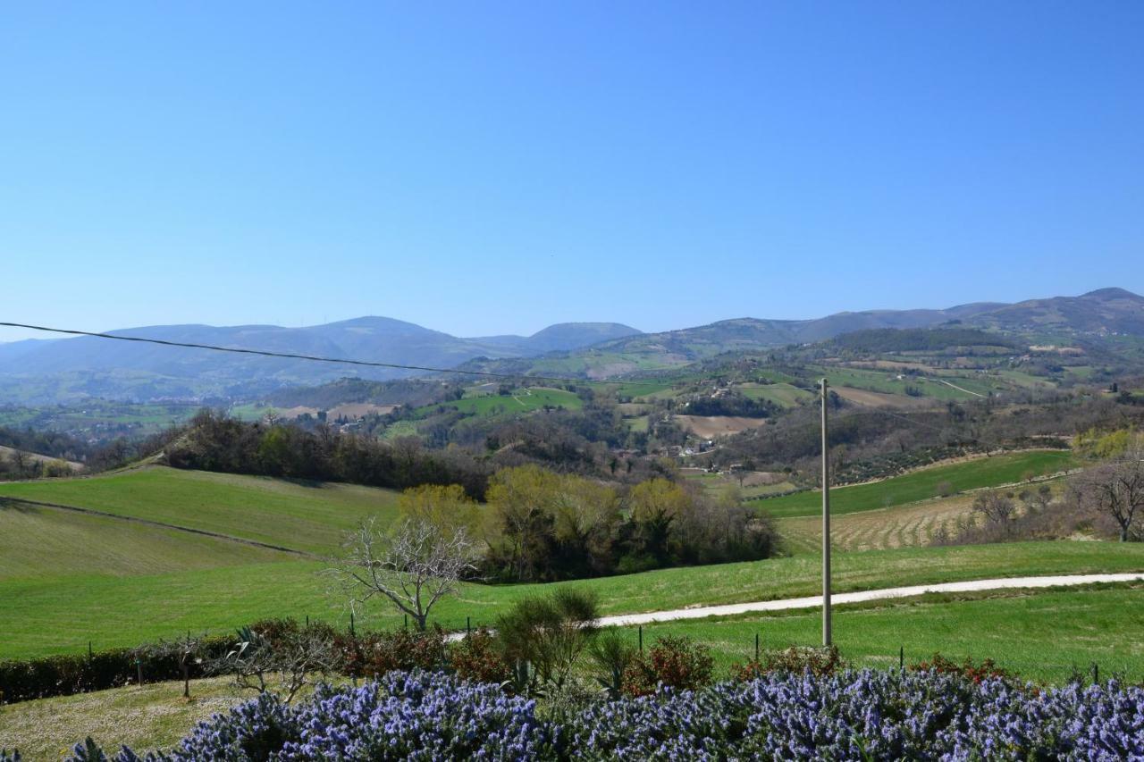 Agriturismo Villa Rosetta San Severino Marche Eksteriør billede